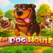 The Dog House